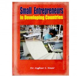 Small Enterpreneurs in Developing Countries